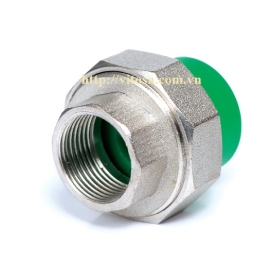 Rắc co ren trong PPR