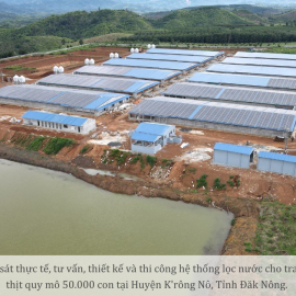 Thiết kế, thi công hệ thống lọc nước cho trang trại chăn nuôi| Vitosa