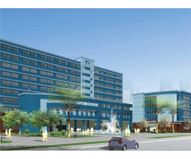 TRƯỜNG QUỐC TẾ SAO VIỆT