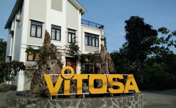 LĨNH VỰC HOẠT ĐỘNG