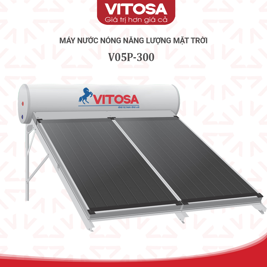Máy nước nóng năng lượng mặt trời Vitosa tấm phẳng 300 lít